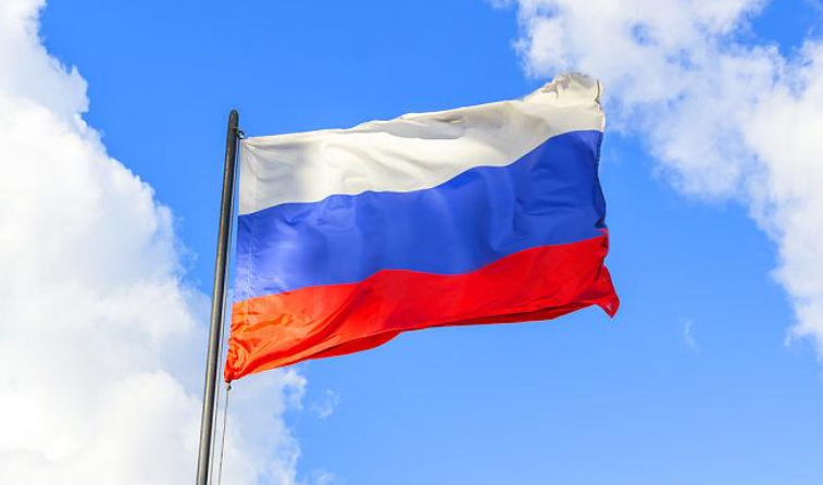 俄罗斯“电子火因许可证”通过二读三读 9月1日起生效